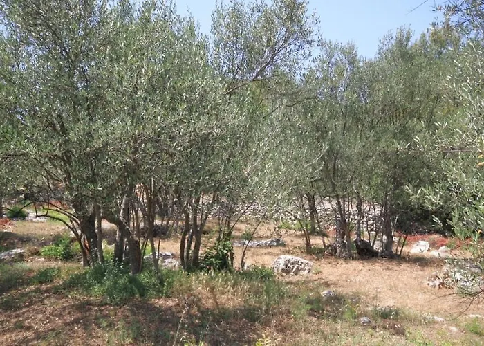 With A Parking Space Kukljica, Ugljan - 8256 * 쿠클리차