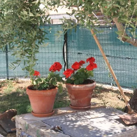 아파트 With A Parking Space Kukljica, Ugljan - 8256 쿠클리차